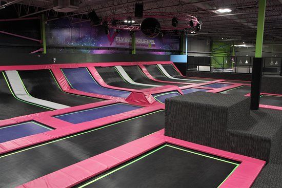 Flying Squirrel Winnipeg